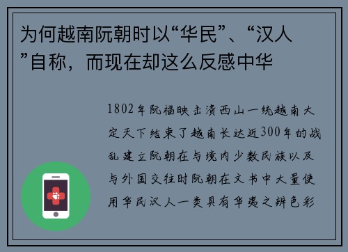 为何越南阮朝时以“华民”、“汉人”自称，而现在却这么反感中华